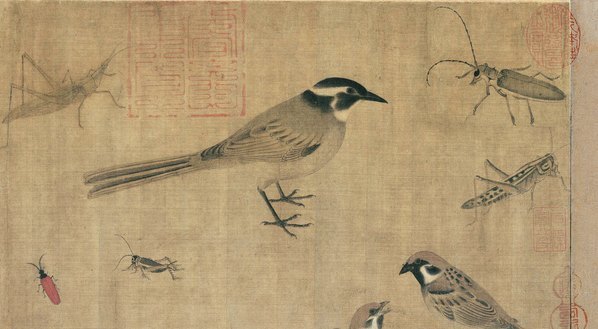 五代_黄筌_写生珍禽图绢本_(10599×5843 – 300dpi)(图3)