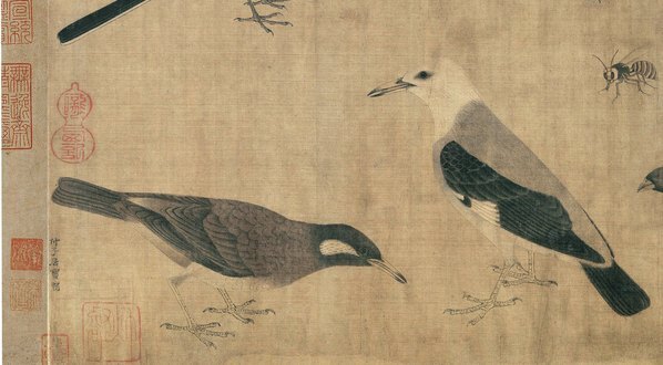 五代_黄筌_写生珍禽图绢本_(10599×5843 – 300dpi)(图4)