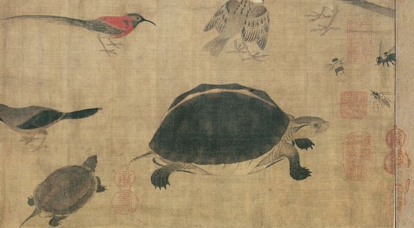 五代_黄筌_写生珍禽图绢本_(10599×5843 – 300dpi)(图5)