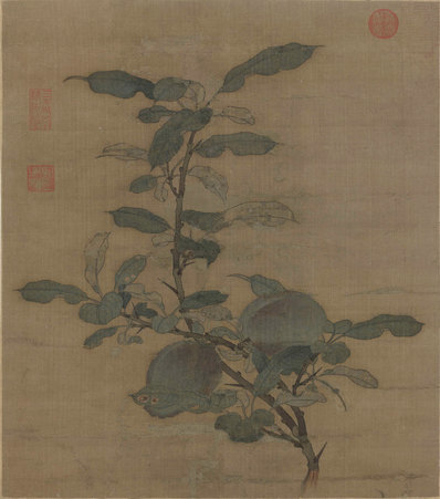 宋_无款_折枝果图页绢本_(5504×6234 – 300dpi)(图1)