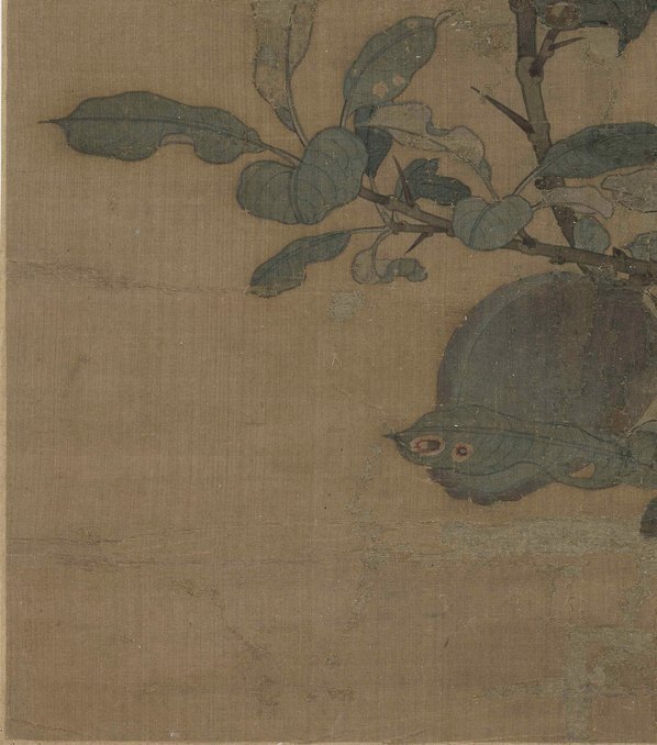 宋_无款_折枝果图页绢本_(5504×6234 – 300dpi)(图4)
