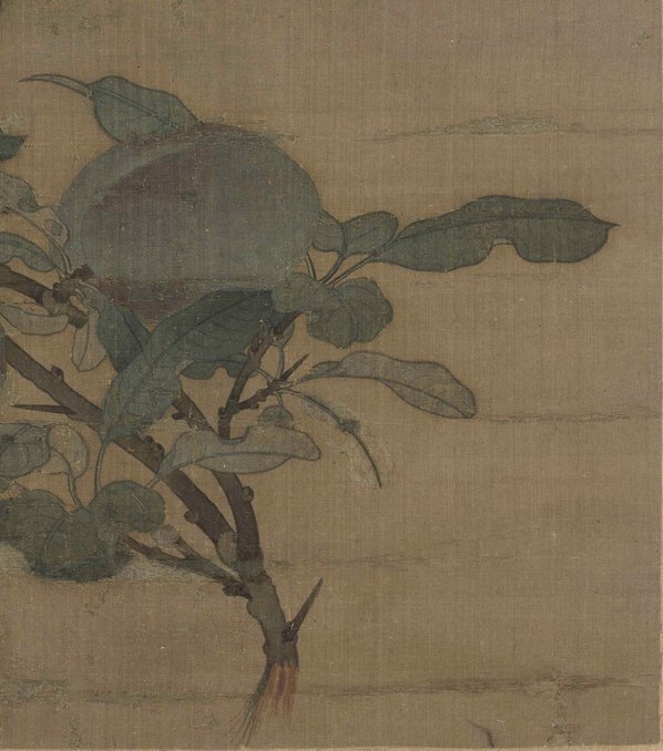 宋_无款_折枝果图页绢本_(5504×6234 – 300dpi)(图5)