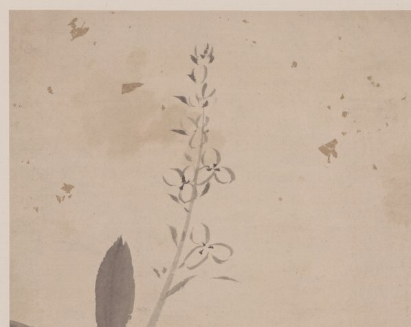 明_杜大成_花蝶草虫纸本_1_(5016×3984 – 360dpi)(图2)