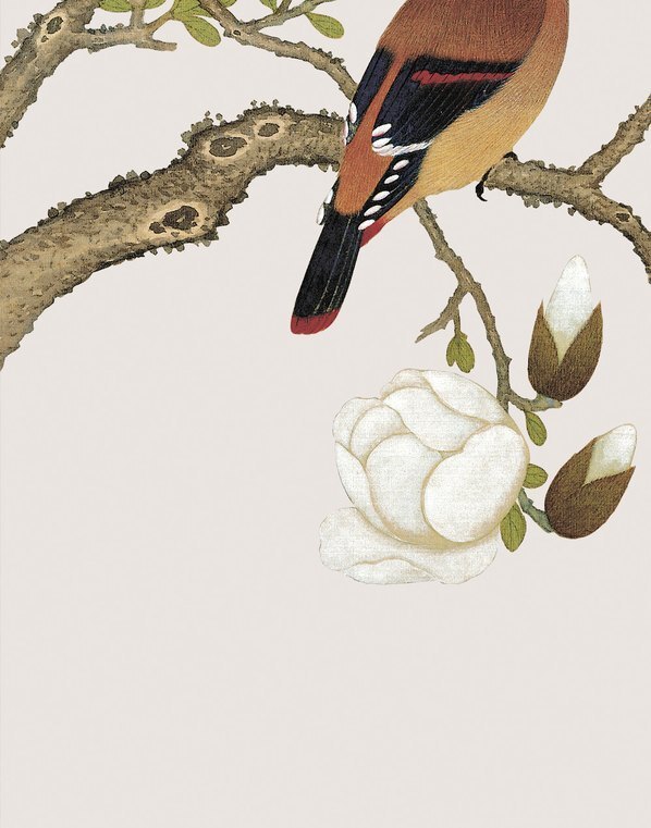 清_余挚_花鸟画_3_(3248×4134 – 150dpi)(图4)