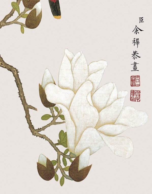清_余挚_花鸟画_3_(3248×4134 – 150dpi)(图5)
