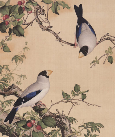 清_郎世宁_仙萼长春图_26_(6312×7496 – 400dpi)(图1)