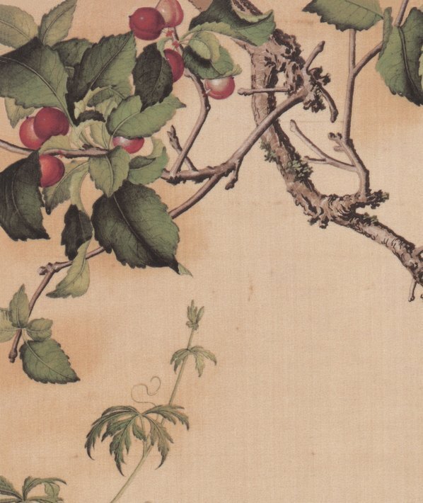 清_郎世宁_仙萼长春图_26_(6312×7496 – 400dpi)(图2)