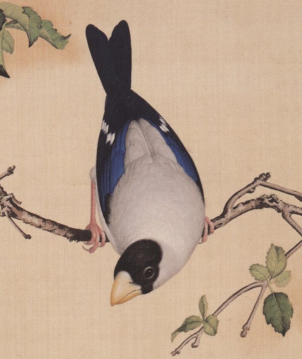 清_郎世宁_仙萼长春图_26_(6312×7496 – 400dpi)(图3)