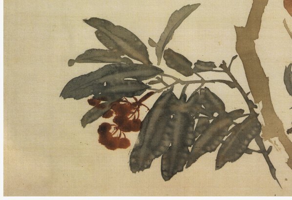 清_任伯年_花卉册页_11_(3800×2602 – 300dpi)(图4)