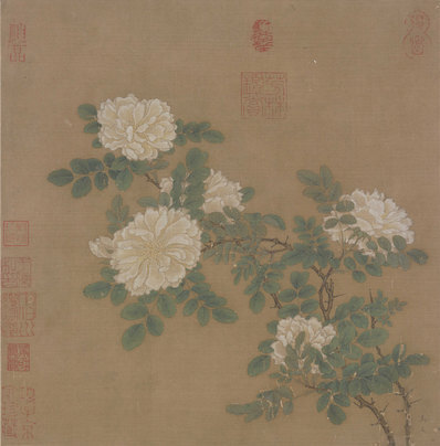 宋_马远_白蔷薇图页_(5617×5697 – 300dpi)(图1)