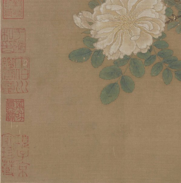 宋_马远_白蔷薇图页_(5617×5697 – 300dpi)(图4)