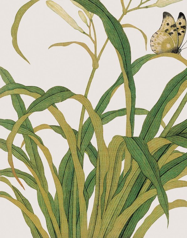 清_余挚_花鸟画_5_(3248×4134 – 150dpi)(图4)
