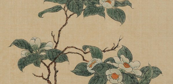 清_溥儒_花哇绢_(6500×12629 – 300dpi)(图4)