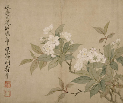 清_恽寿平_梨花图页_纳尔逊_(4000×3347 – 72dpi)(图1)