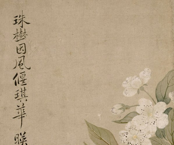 清_恽寿平_梨花图页_纳尔逊_(4000×3347 – 72dpi)(图2)