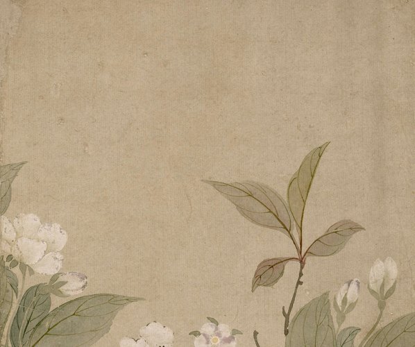 清_恽寿平_梨花图页_纳尔逊_(4000×3347 – 72dpi)(图3)