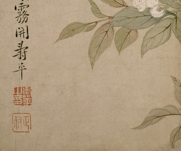 清_恽寿平_梨花图页_纳尔逊_(4000×3347 – 72dpi)(图4)