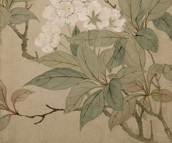 清_恽寿平_梨花图页_纳尔逊_(4000×3347 – 72dpi)(图5)