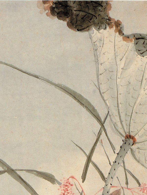 清_王武_花卉册_21_(2642×3494 – 400dpi)(图3)