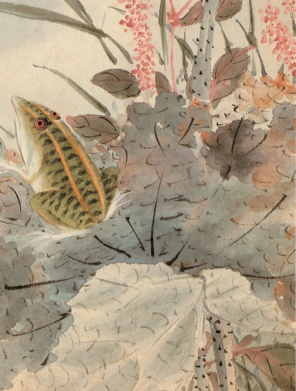 清_王武_花卉册_21_(2642×3494 – 400dpi)(图5)