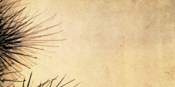 清_翁方纲_墨松图_(8275×4134 – 300dpi)(图3)