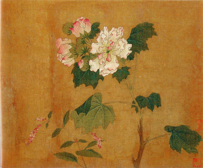 五代_后蜀_黄居寀_花卉写生图册_14_(3011×2494 – 300dpi)(图1)