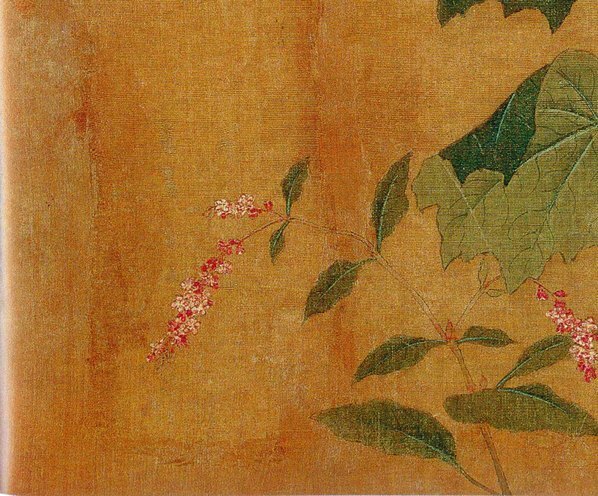 五代_后蜀_黄居寀_花卉写生图册_14_(3011×2494 – 300dpi)(图4)