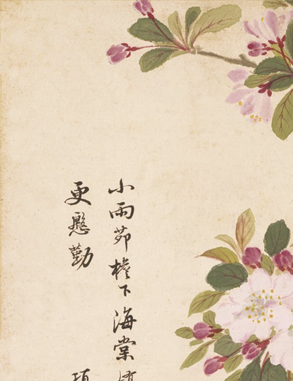 明_项圣谟_花卉十开_纸本_(825×1074 – 72dpi)(图2)