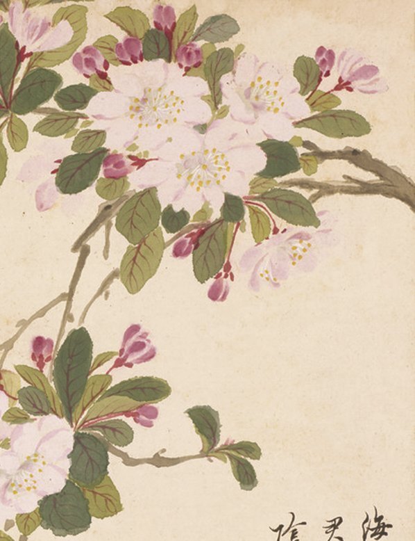 明_项圣谟_花卉十开_纸本_(825×1074 – 72dpi)(图3)