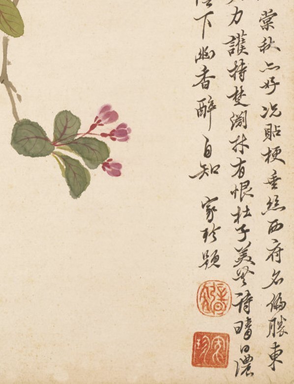 明_项圣谟_花卉十开_纸本_(825×1074 – 72dpi)(图5)