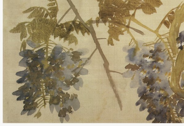 清_任伯年_花卉册页_7_(3800×2600 – 300dpi)(图4)