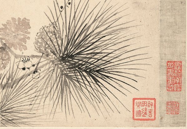 清_恽寿平_花卉十开_纸本_3_(3898×2693 – 300dpi)(图5)
