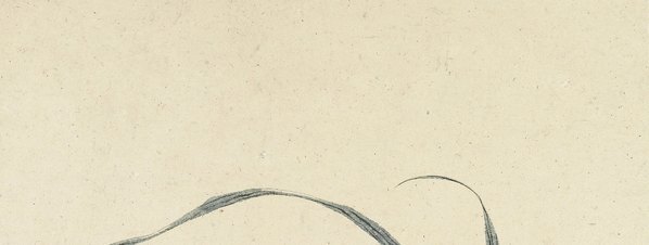清_石涛_花卉册十帧_7(图2)