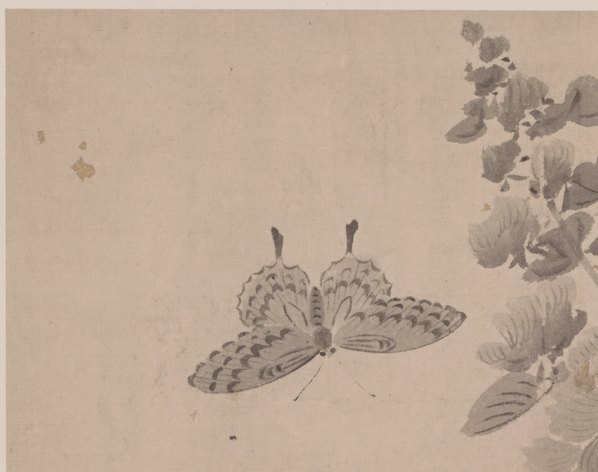 明_杜大成_花蝶草虫纸本_5_(4998×3948 – 360dpi)(图2)