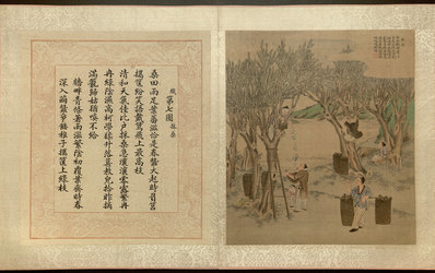 清_焦秉贞_耕织图册_42_(4820×3024 – 300dpi)(图1)