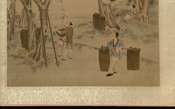 清_焦秉贞_耕织图册_42_(4820×3024 – 300dpi)(图5)