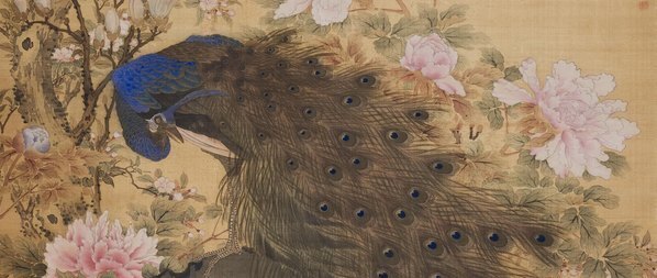 清_沈铨_孔雀玉兰牡丹图绢本_(5000×8462 – 300dpi)(图3)