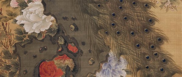 清_沈铨_孔雀玉兰牡丹图绢本_(5000×8462 – 300dpi)(图4)