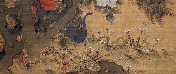 清_沈铨_孔雀玉兰牡丹图绢本_(5000×8462 – 300dpi)(图5)
