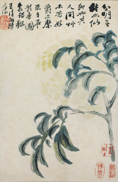 清_石涛_花鸟图册开_纸本_(3165×4867 – 400dpi)(图1)