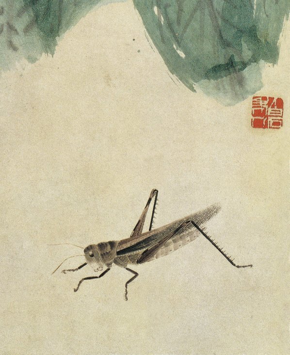 近代_齐白石小品_1_(4443×5445 – 72dpi)(图5)