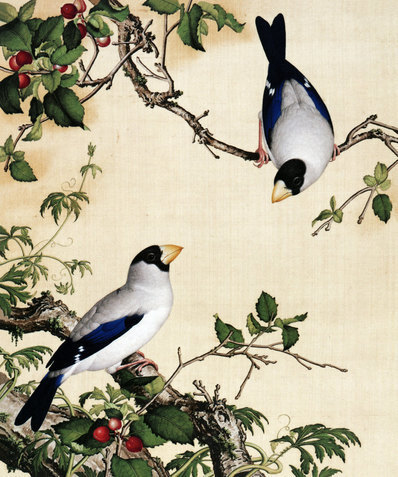 清_郎世宁_仙萼长春图最佳版_樱桃_(6252×7496 – 405dpi)(图1)