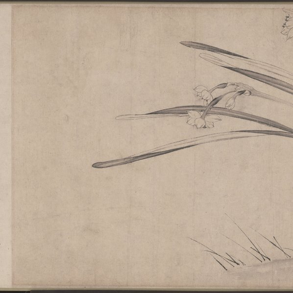 宋_赵孟坚_水仙图卷纸本天津市艺术博物_(98594×3022 – 300dpi)(图2)