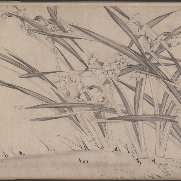 宋_赵孟坚_水仙图卷纸本天津市艺术博物_(98594×3022 – 300dpi)(图3)