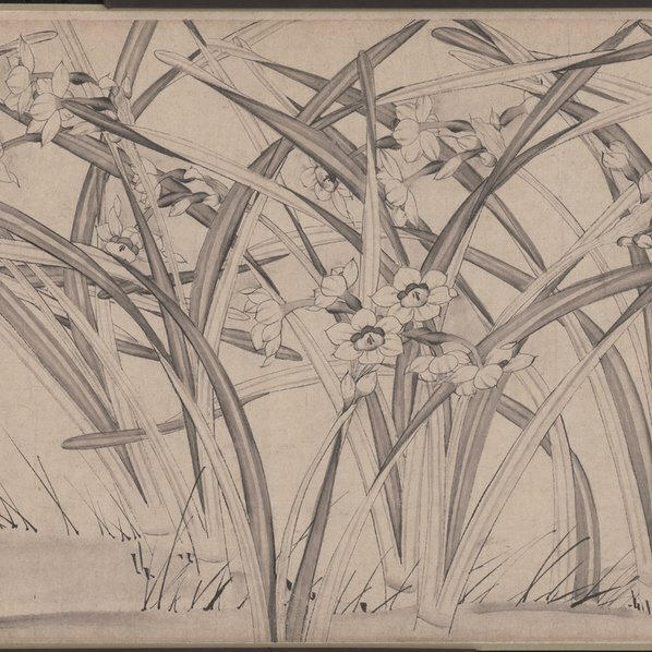 宋_赵孟坚_水仙图卷纸本天津市艺术博物_(98594×3022 – 300dpi)(图5)