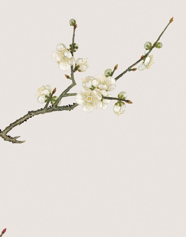清_余挚_花鸟画_9_(3248×4134 – 150dpi)(图3)