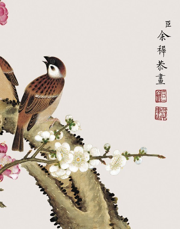 清_余挚_花鸟画_9_(3248×4134 – 150dpi)(图5)