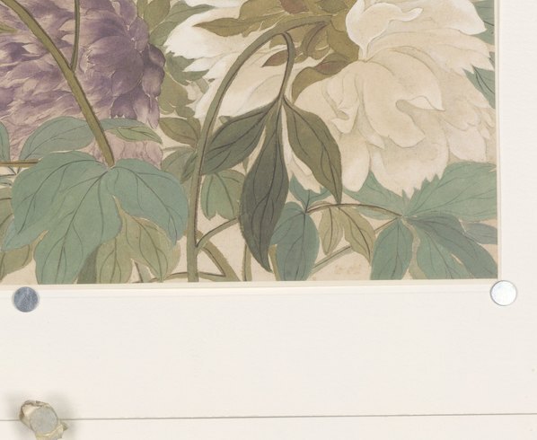 清_恽寿平_王翚花卉山水合册_(6448×5287 – 350dpi)(图5)