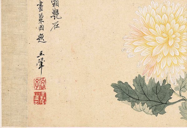 清_恽寿平_花卉十开_纸本_1_(3898×2670 – 300dpi)(图4)