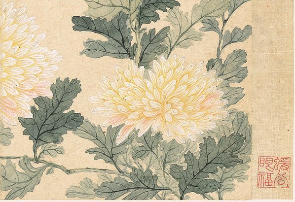 清_恽寿平_花卉十开_纸本_1_(3898×2670 – 300dpi)(图5)
